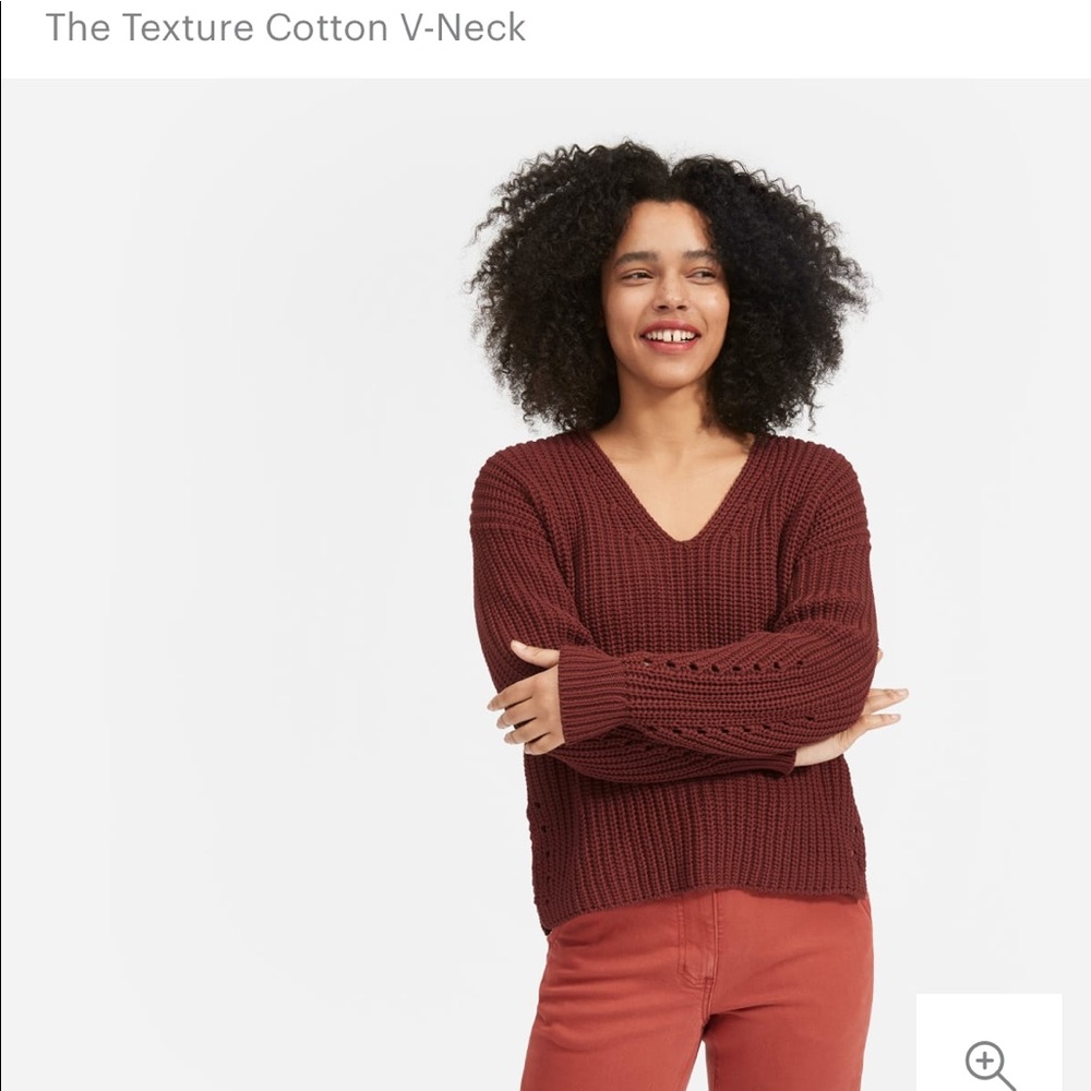 Everlane Texture Cotton V-neck Sweater